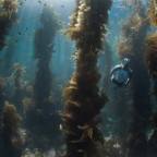 Tips for Avoiding Dive Mask Leaks