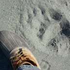 Just a teaser… I’m not home…still fishing…