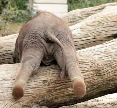 6a6c58b35f2e9275bba31df4ef6a1fa8